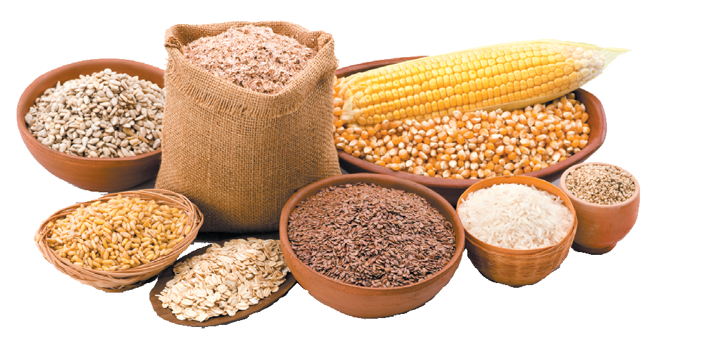 special-grains-cutout